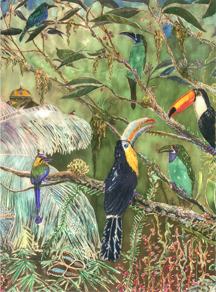 7 Neotropical Birds