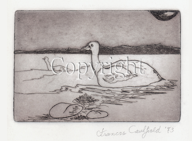 Swans, Aquatint print